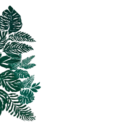 Daun Kiri